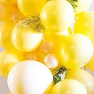 Meet your Posher, Souheila